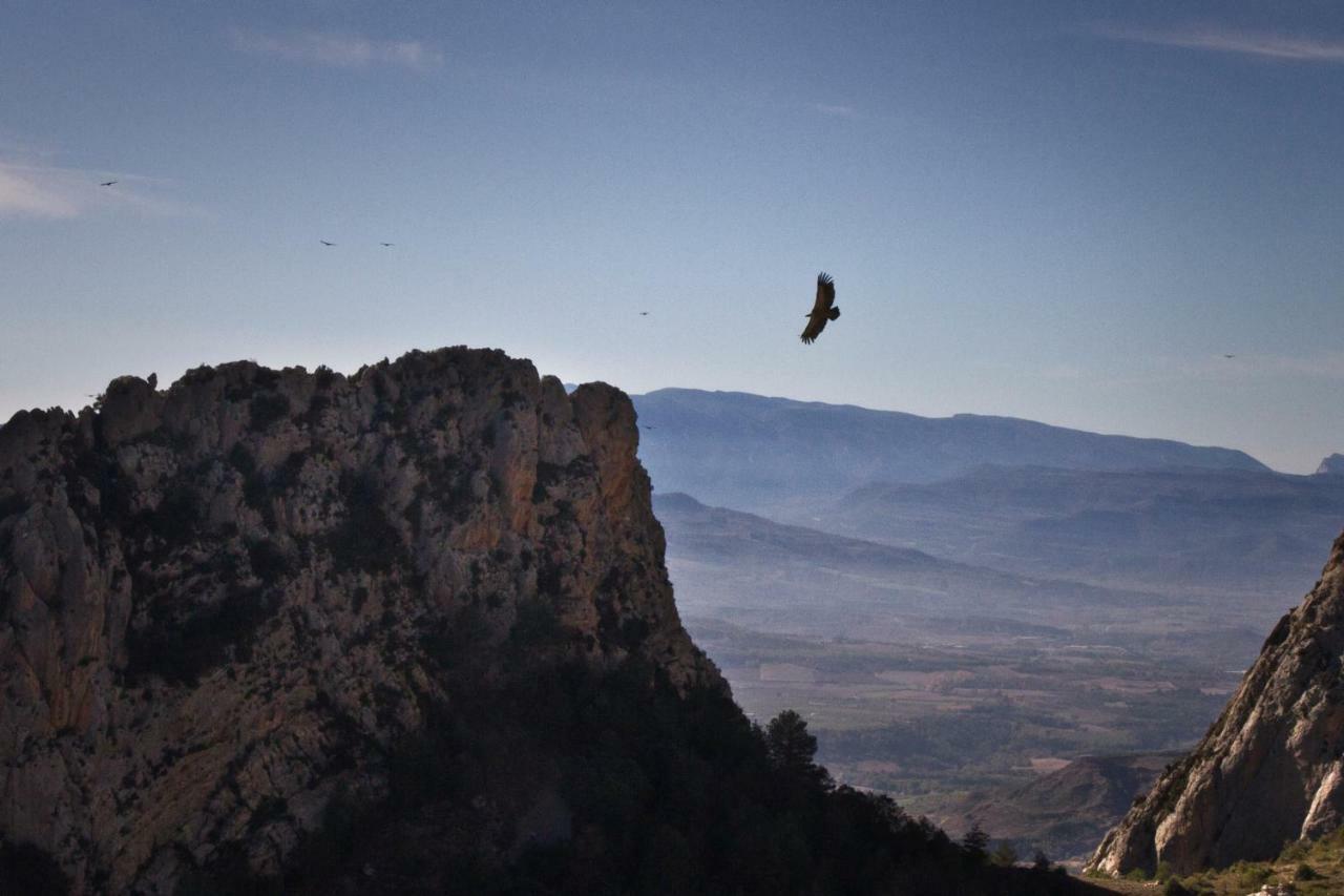 Casa Jou Villa Abella de la Conca Bagian luar foto