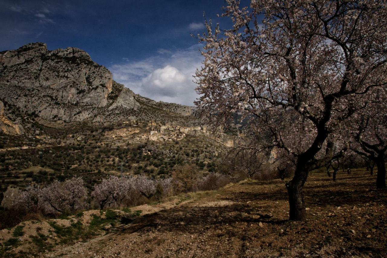 Casa Jou Villa Abella de la Conca Bagian luar foto